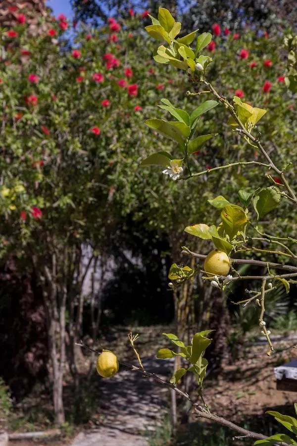 Farm stay Agriturismo Tarantola Alcamo Italy